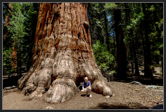 May 2016 Western Trip - Sequoia Natl Park - 28