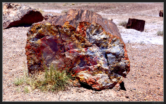 May 2016 Western Trip - Petrified Forest Natl Mon - 62