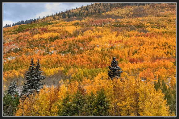 Colorado Fall Color Trip - Sep 2016 - Between Ouray and Silverton 17