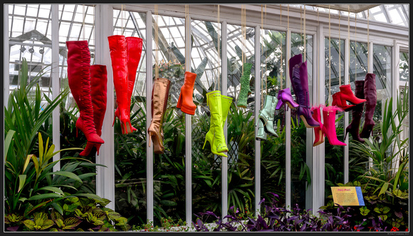 Book 136 - Phipps Conservatory and Botanical Gardens - Pittsburgh PA - June 2023 -11
