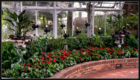 Book 136 - Phipps Conservatory and Botanical Gardens - Pittsburgh PA - June 2023 -26