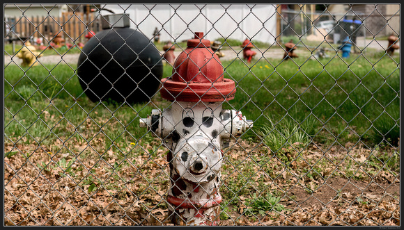 Kansas Trip - Topeka - Fire Hydrant House- April 2023 - 06
