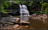 Book 136 - Swallow Falls State Park - MD - June 2023 -19