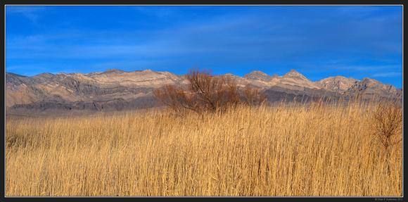 Corn Creek, Desert National Wildlife Range - Nevada - Jan 2021 - 14a