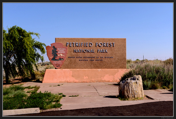 May 2016 Western Trip - Petrified Forest Natl Mon - 01